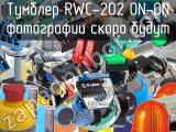 Тумблер RWC-202 ON-ON 