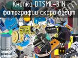 Кнопка DTSML-31N 