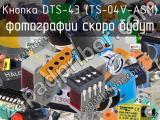 Кнопка DTS-43 (TS-04V-ASM) 