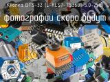 Кнопка DTS-32 (L-KLS7-TS3601-5.0-250)