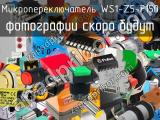 Микропереключатель WS1-Z5-F150