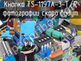 Кнопка TS-1197A-3-T/R 