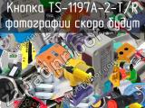 Кнопка TS-1197A-2-T/R 