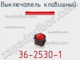 Выключатель клавишный  36-2530-1 