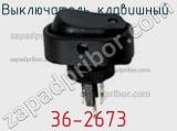 Выключатель клавишный 36-2673 фотография 2.