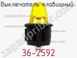Выключатель клавишный 36-2592 фотография 3.