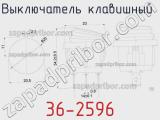 Выключатель клавишный 36-2596 фотография 2.