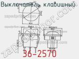 Выключатель клавишный 36-2570 фотография 2.