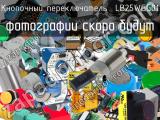 Кнопочный переключатель  LB25WGG01 