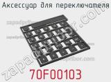 Аксессуар для переключателя 70F00103