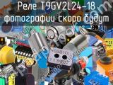 Реле T9GV2L24-18