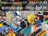 Переключатель BZ-2RW82244-A2