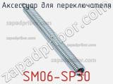 Аксессуар для переключателя SM06-SP30