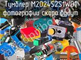 Тумблер M2024S2S1W01