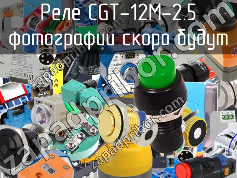 Реле CGT-12M-2.5 фотография.