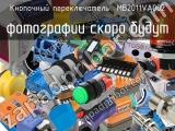 Кнопочный переключатель  MB2011VA002 