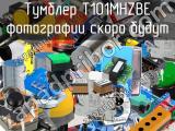 Тумблер T101MHZBE 