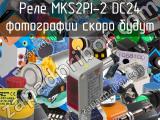 Реле MKS2PI-2 DC24