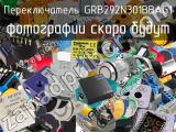 Переключатель GRB292N301BBAG1