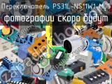 Переключатель PS31L-NS11W1-M00