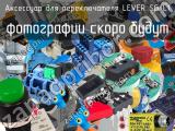 Аксессуар для переключателя LEVER SG-L1 