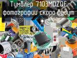 Тумблер 7103MDZQE 