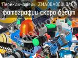 Переключатель ZMA00A080L04EC 