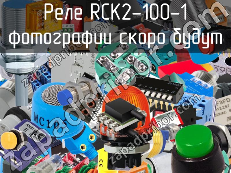 Реле RCK2-100-1 фотография.