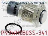 Кнопочный переключатель  PV3WH2B0SS-341 