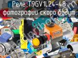 Реле T9GV1L24-48 