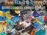 Реле FCA-210-0919M 
