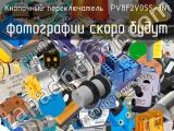 Кнопочный переключатель  PV8F2V0SS-3N1 