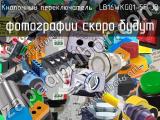 Кнопочный переключатель  LB16WKG01-5F-JB 