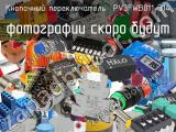 Кнопочный переключатель  PV3FWB011-314