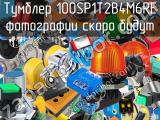 Тумблер 100SP1T2B4M6RE 