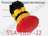 Кнопочный переключатель  SSA-EB2P-22 