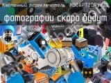 Кнопочный переключатель  K30APT2GRYF2Q 