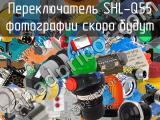 Переключатель SHL-Q55