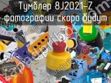 Тумблер 8J2021-Z