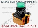 Кнопочный переключатель  A22NL-BGM-TGA-G202-GC 