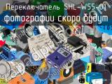 Переключатель SHL-W55-01