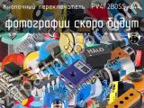 Кнопочный переключатель  PV4F2B0SS-344