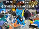 Реле T9GV2L24-12