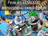 Реле R1-EC5500D0