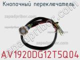 Кнопочный переключатель  AV1920DG12T5Q04