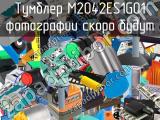 Тумблер M2042ES1G01 