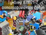 Тумблер 8J1021-Z