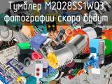 Тумблер M2028SS1W03 