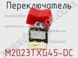 Переключатель M2023TXG45-DC 