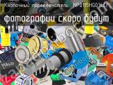 Кнопочный переключатель  NP0115HG03LCF 